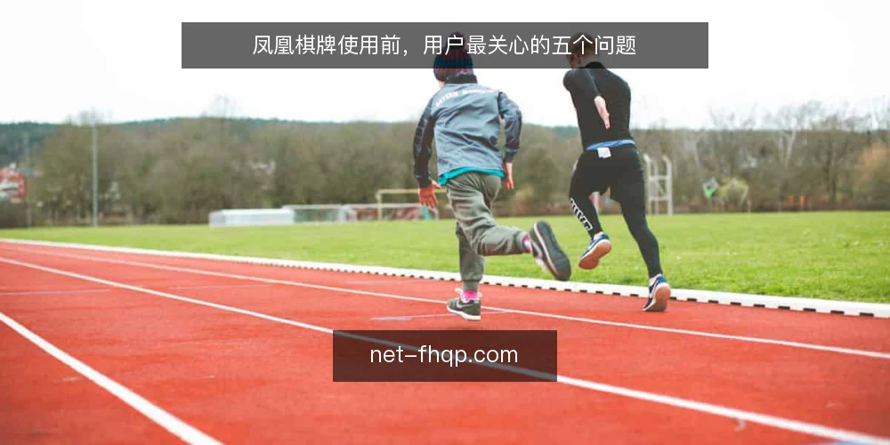 凤凰棋牌使用前,用户最关心的五个问题 — 凤凰棋牌是什么?它适用于哪些场景? 配图