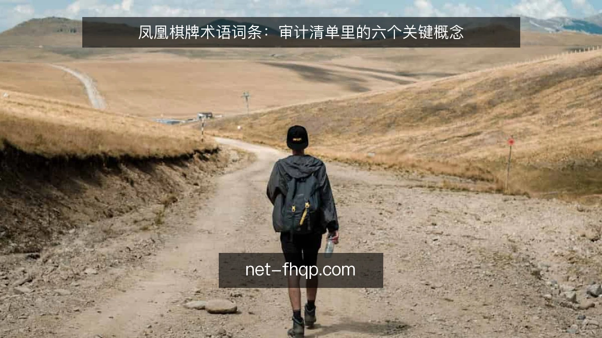 凤凰棋牌术语词条：审计清单里的六个关键概念